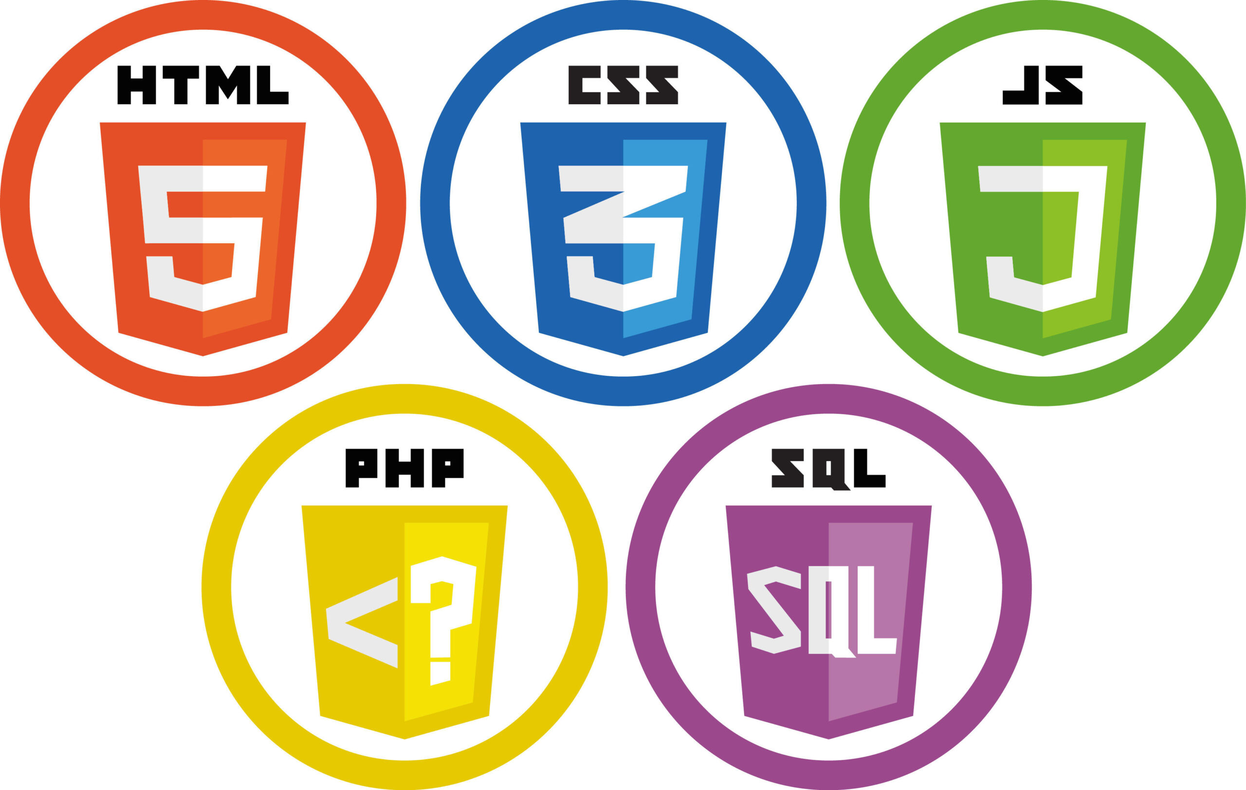 Técnico en Programación de Paginas Web